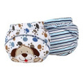 Reusable Cloth Diapers 